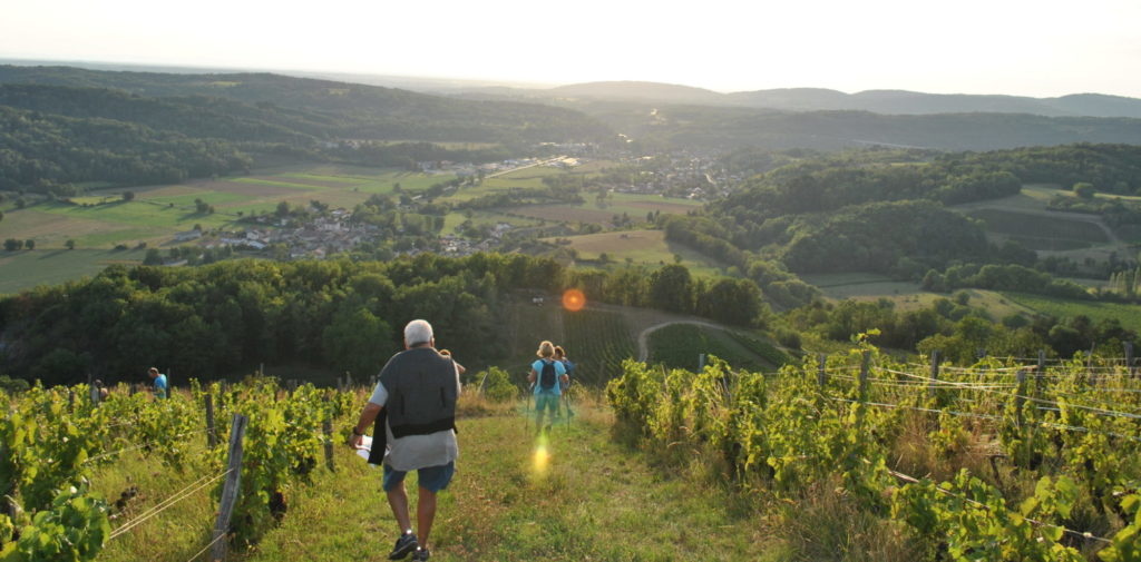 balade dégustation bugey cerdon