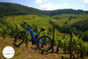 vélo cerdon dégustation