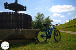 vélo cerdon dégustation