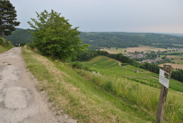 balade dégustation cerdon bugey