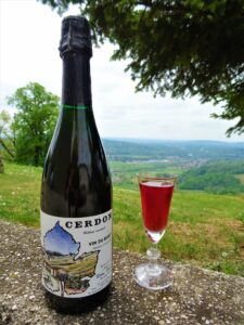 cerdon vin du bugey